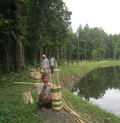 Demonstration of Sustainable Forest Management with Community Participation in Nepal 