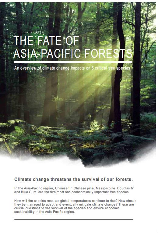 <b>The fate of Asia-Pacific Forests</b>