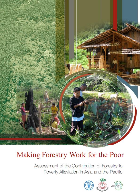 <b>Making Forestry Work for the Poor</b>