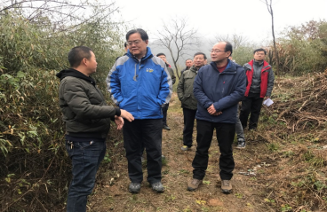 Exploring best sustainable forest management and forest restoration practices in hilly areas of southern China – sound feedback on the mid-term evaluation of the APFNet project