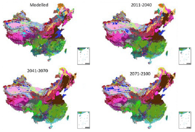 <b>Initiating a new phase for the project ＂Adaptation of Asia-Pacific Forestry to Climate Change＂</b>