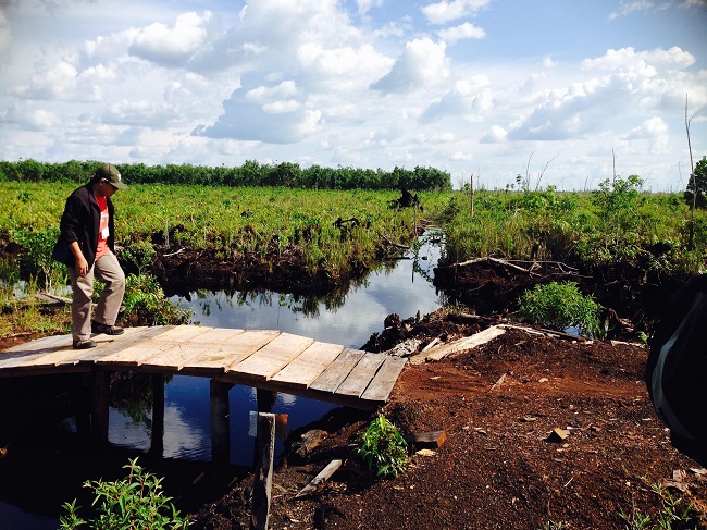 <b>Indonesia improving official emissions reporting - Thanks to APFNet project</b>