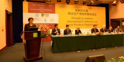 Strength in numbers: International Conference on Forest Producer Organizations