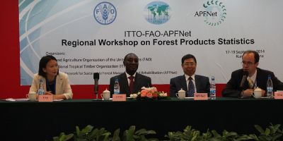 Regional Workshop on Forest Products Statistics successfully held by ITTO, FAO a