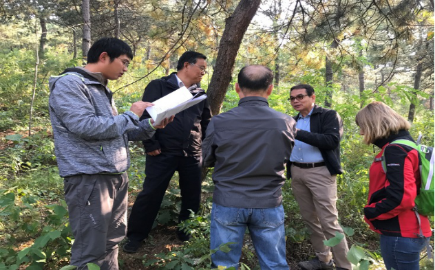 APFNet Contributes to Beijing Water Source Protection: Positive Feedback on a Terminal Evaluation of Rehabilitation and Management of Degraded Forests in Miyun Reservoir Watershed, Beijing [2015P2-MY]