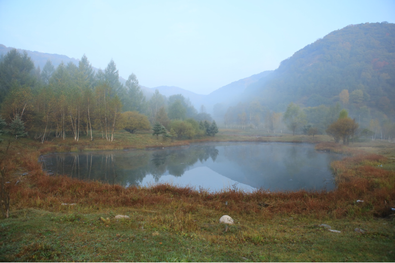 Breathing in the Forest in Northern China