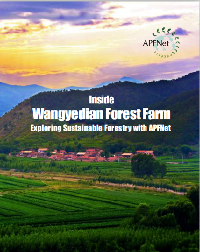 <b>Inside Wangyedian Forest Farm - Exploring Sustainable Forestry with APFNet</b>